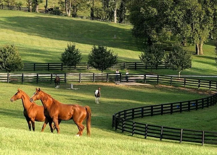 Pemandangan Terasering Desa Sapanang