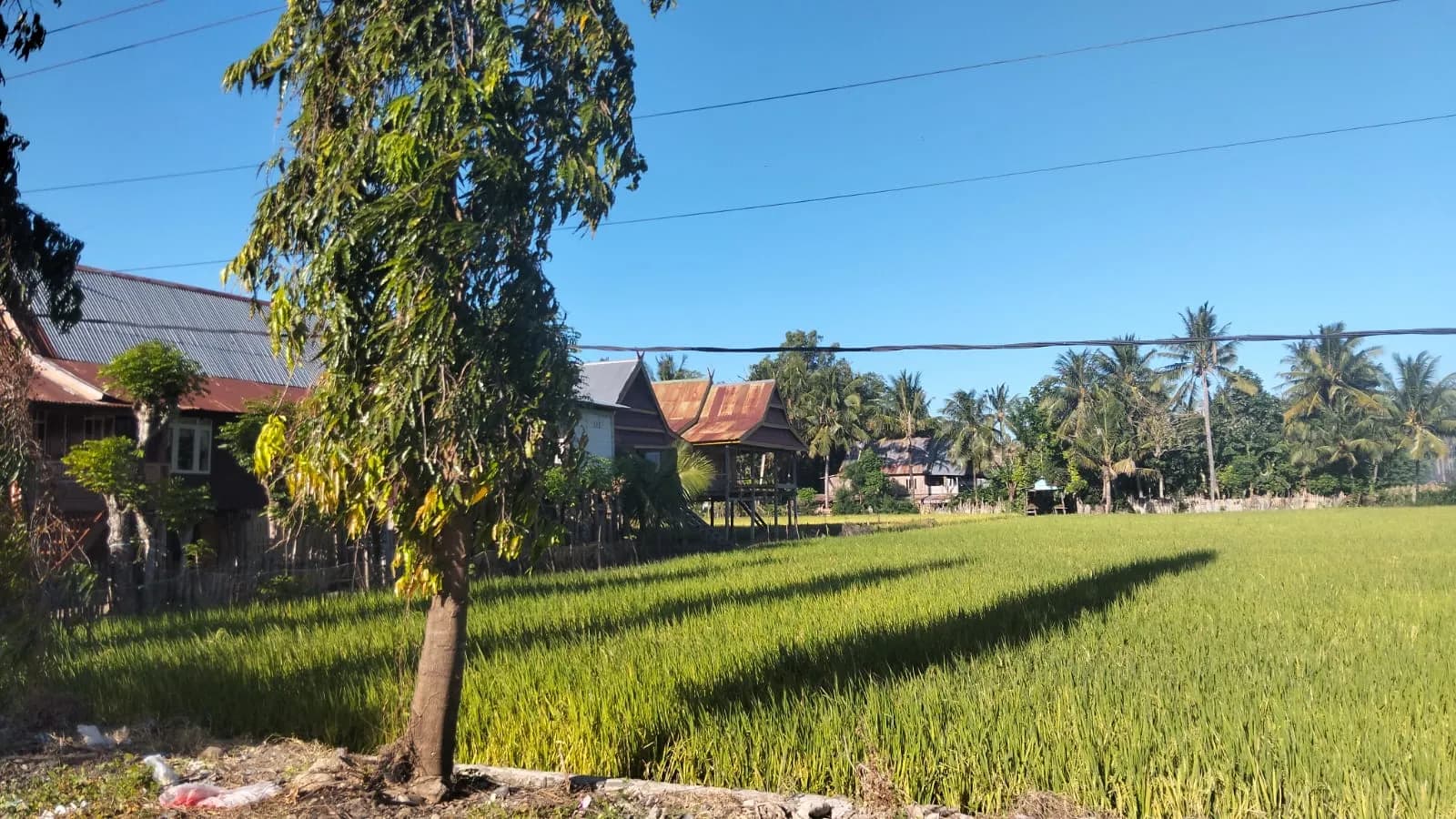 Dusun Sapiri