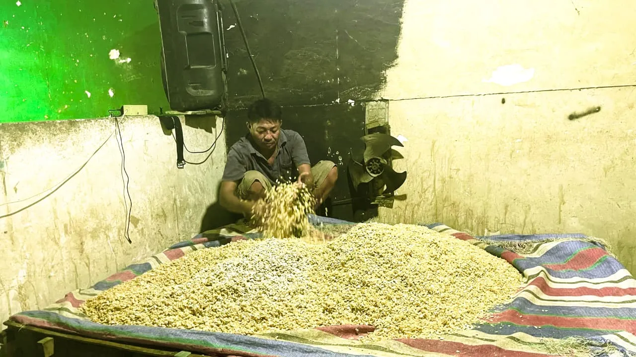 Produksi Tempe Tahu Sapanang